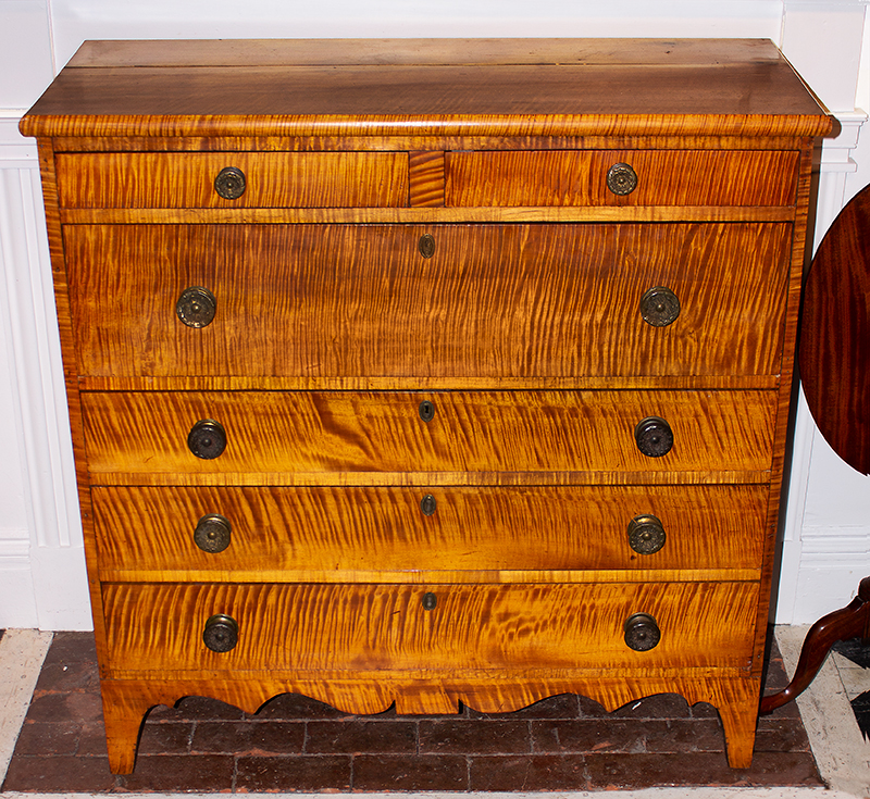 Antique Curly Maple Chest, Vermont Tiger Maple, Attributed to Loomis Family
Shaftsbury, Vermont, Circa 1815, entire view 2