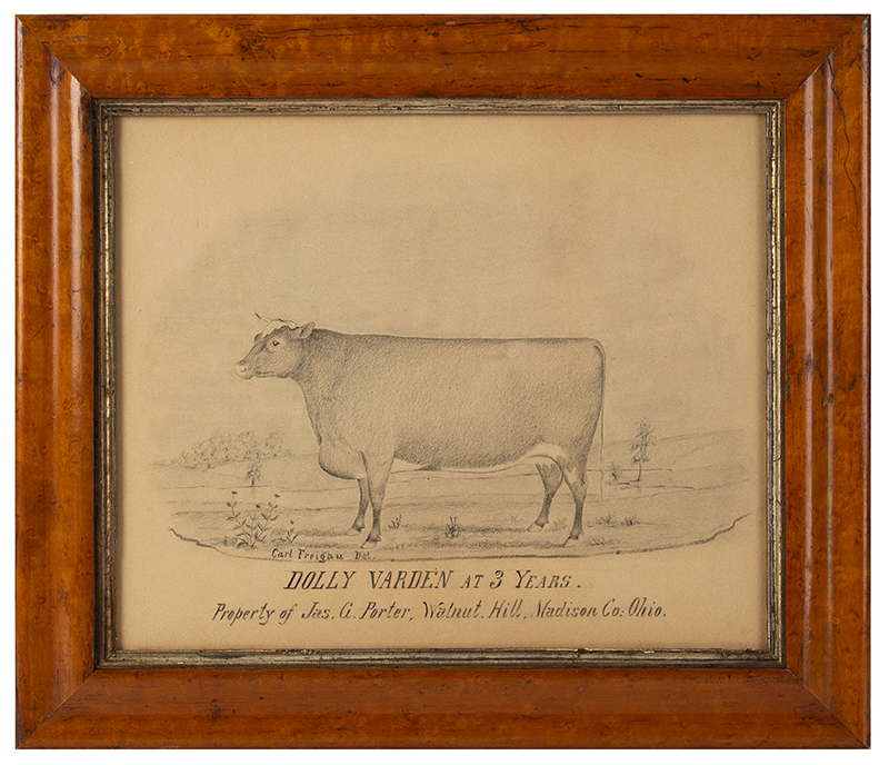 Pencil Drawing, Cow in Pasture, Dolly Varden at 3 Years by Carl Freigau Property of Jas. G. Porter, Walnut Hill, Madison Co: Ohio, entire view
