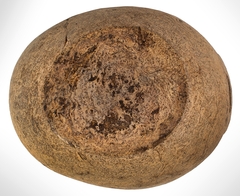 Eighteenth Century Oblong Burl Bowl, Single Raised Pierced Handle, bottom view