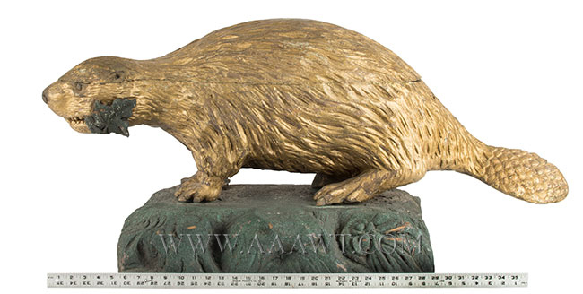Folk Art, Carved Beaver, Gilded and Painted Architectural Expression National Symbol of the Sovereignty of Canada, scale view