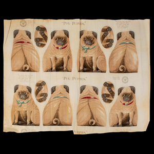Arnold Print Works Uncut Pillow Panel, Pug Puppies