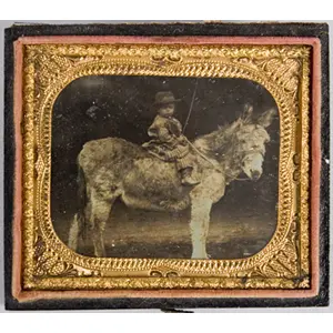 Ninth-Plate Daguerreotype, Boy on a Donkey