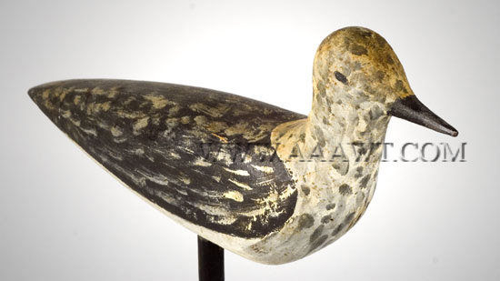 Antique Decoy, Shorebird, Black Bellied Plover, angle view