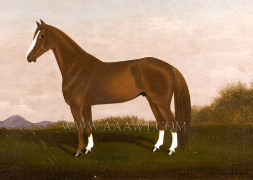 Painting, Race Horse, Hiram Drew, born 1860
Circa 1860's
Oil on Canvas, entire view