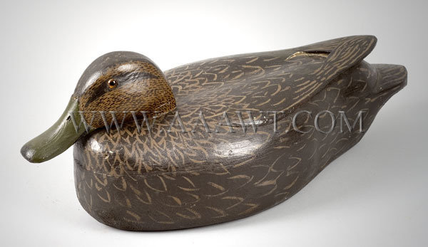 Antique Decoy, Black Duck, New Jersey, angle view