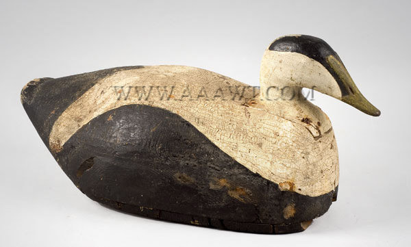 Antique Decoy, Eider, by Enoch Benner, Maine, angle view
