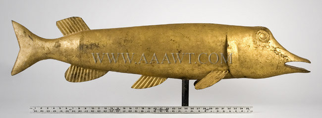 Antique Weathervane, Northern Pike Fish, Gilt Surface, with ruler for scale