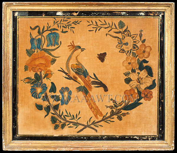 Painted Theorem Still Life on Velvet, Bird, Butterfly and Floral
Early Nineteenth Century, entire view