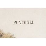 1222-4_Marten Audubon Print_8