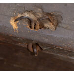 843-441_6_Pilgrim-Joined-Chest,-c-1680-1700_detail-2