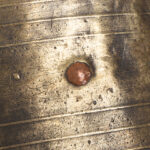 1079-22_3_Cast-Brass-Pail-Iron-Bail_detail.jpg
