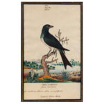 1245-40_1_Watercolors,-Pair,-Birds,-Wm-Goodall_entire