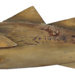 314-53_2_Fish-Mongers-Sign_view-2.jpg