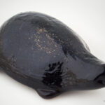 Glass-End-of-Day-Turtle-Prob-Stoddard_1187-14.jpg