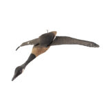 745-432_1b_Flying-Goose