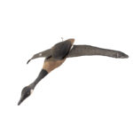 745-432_4_Flying-Goose