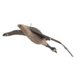 745-432_7_Flying-Goose