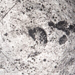 904-49_4_Pewter-Mug,-Quart,-Danforth