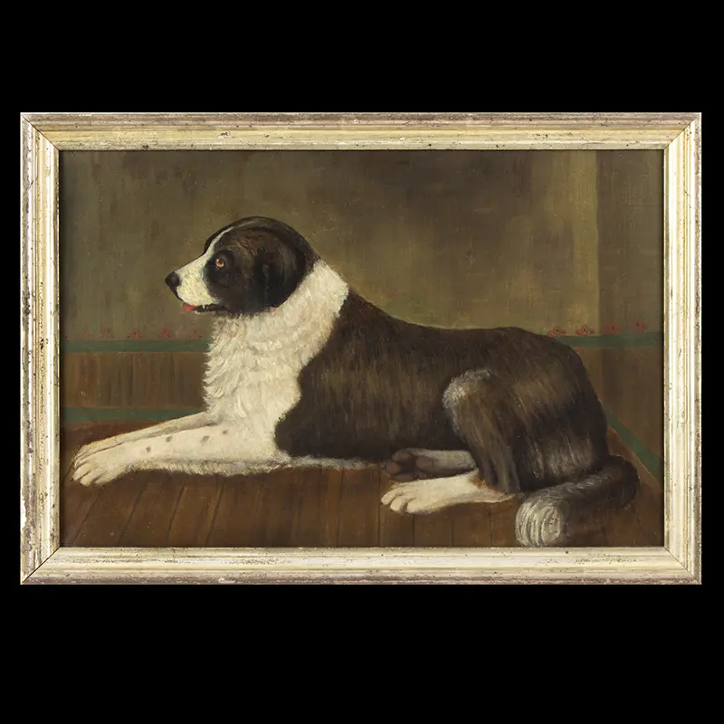 Recumbent Dog Portrait, Dignified Pose, Likely a Newfoundland