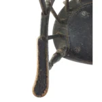 1563-4_5_Sackback Windsor Armchair, Black over Green, RI