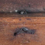 745-472_10_Walnut-Table-Top-Chest